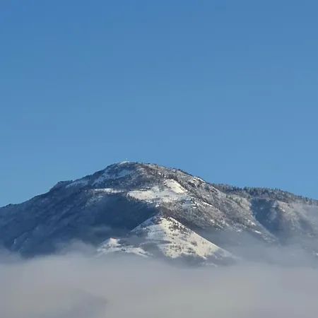 Bellavista *